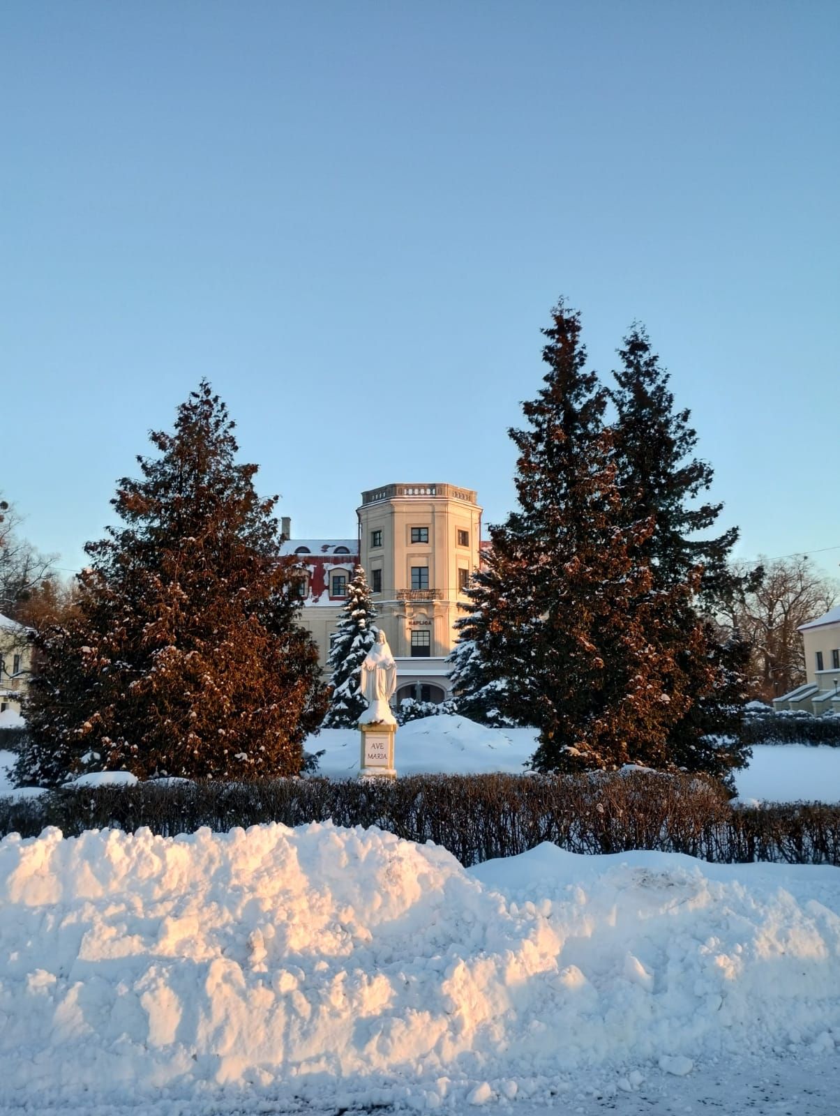 Łabunie w zimowej szacie