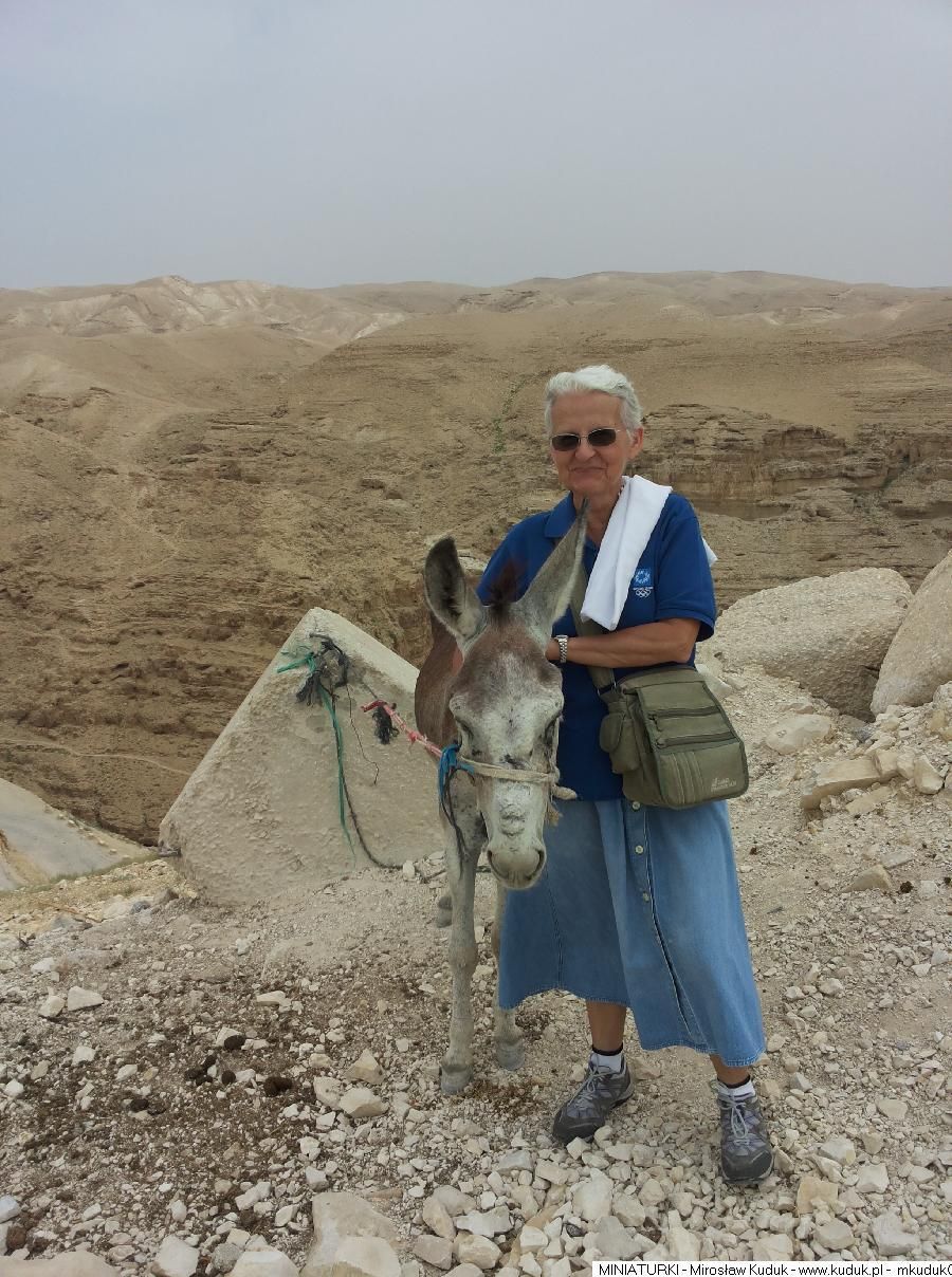 Być świadkiem Chrystusa na Jego ziemi