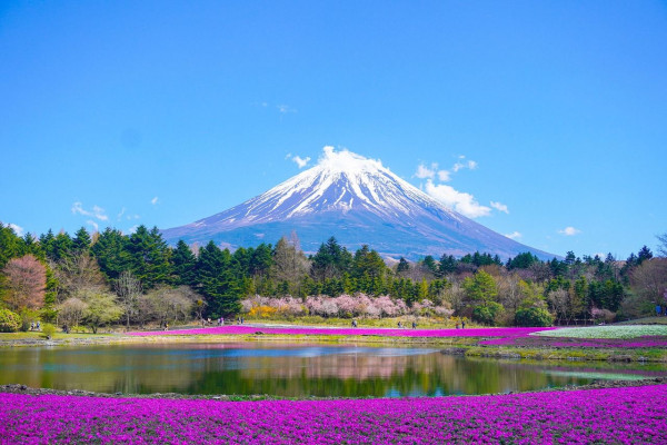Japonia